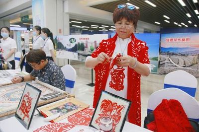 文化藝術咨詢服務 連接創意與價值的橋梁